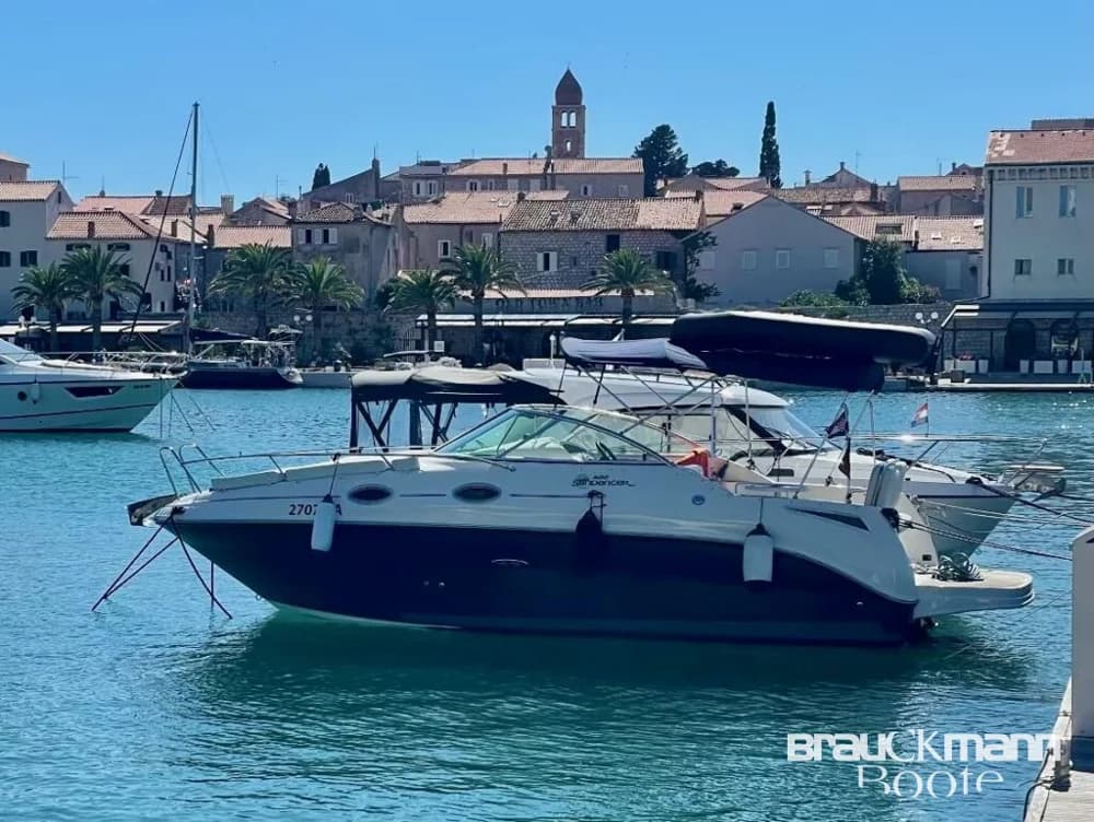 Sea Ray 255 DAE