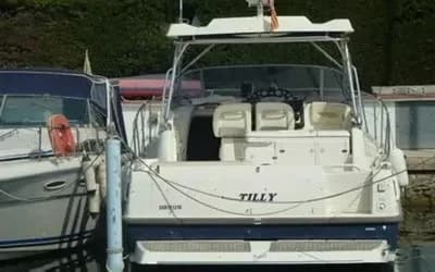 Cranchi 32 Pelican 3