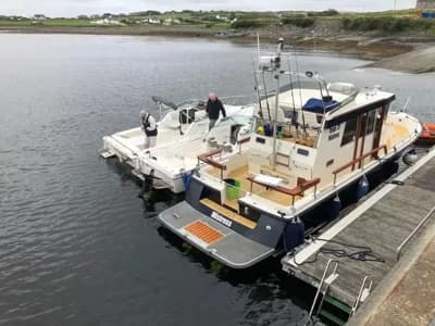 Botnia Targa 31 3