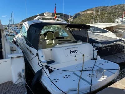 Sea Ray 515 3