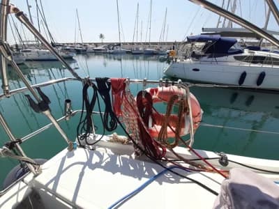 2010 Hanse 445 5