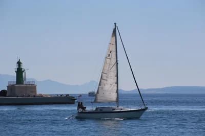 Tica 29 Feet 2