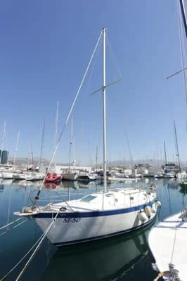 Tica 29 Feet 5