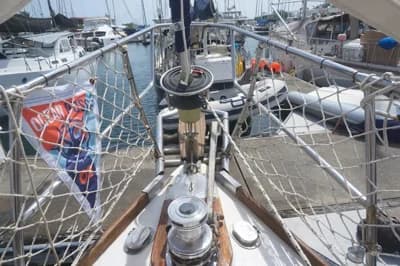 1982 Morgan 462 Boat for Sale in Colón 5