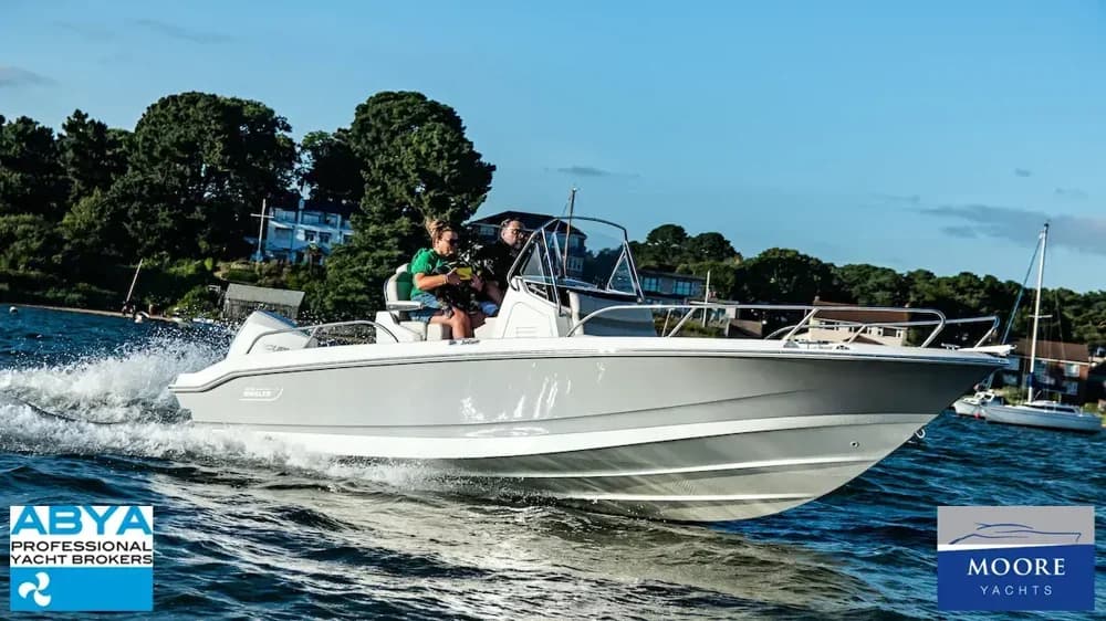 2022 Boston Whaler 220 Dauntless Boat for Sale in Poole