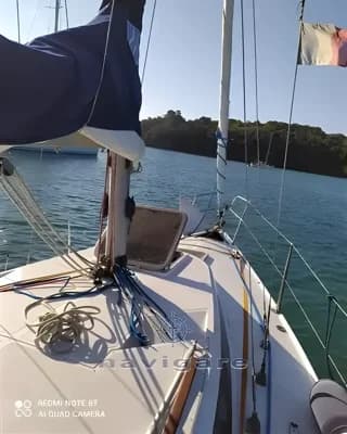 1981 Zuanelli Miller 31 Boat for Sale in Toscana 3