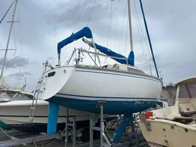 JULLIEN CHALLENGER BRAVO 2