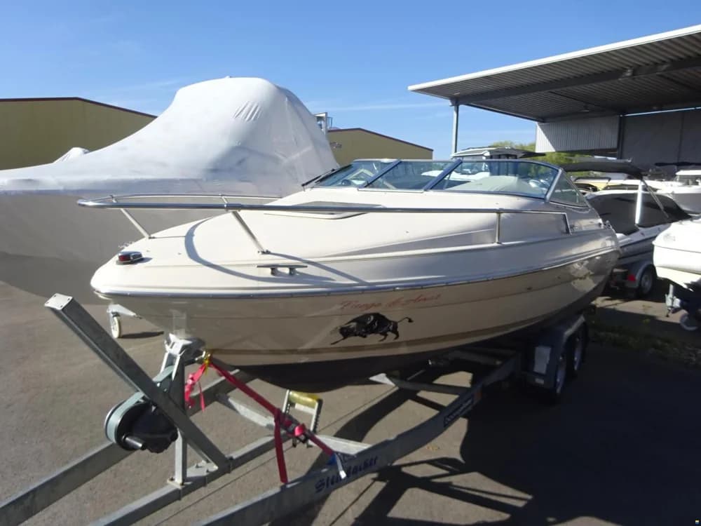 Sea Ray 200 OVS