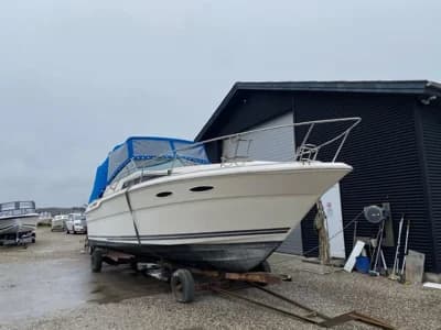 Sea Ray 300 Sundancer 2