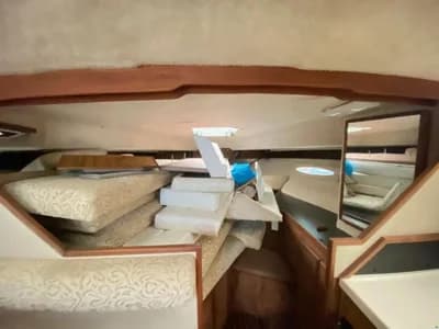 Sea Ray 300 Sundancer 5