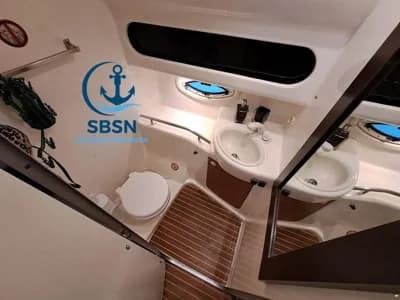 Bayliner 305 SB 4