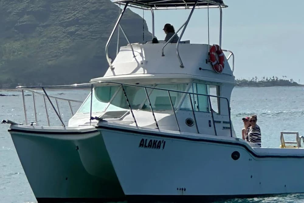 2007 Baha Cruisers 340 King Cat