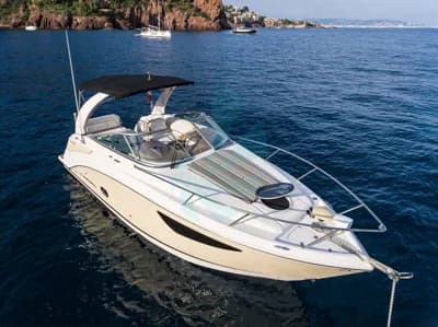 Regal 26 Express 3