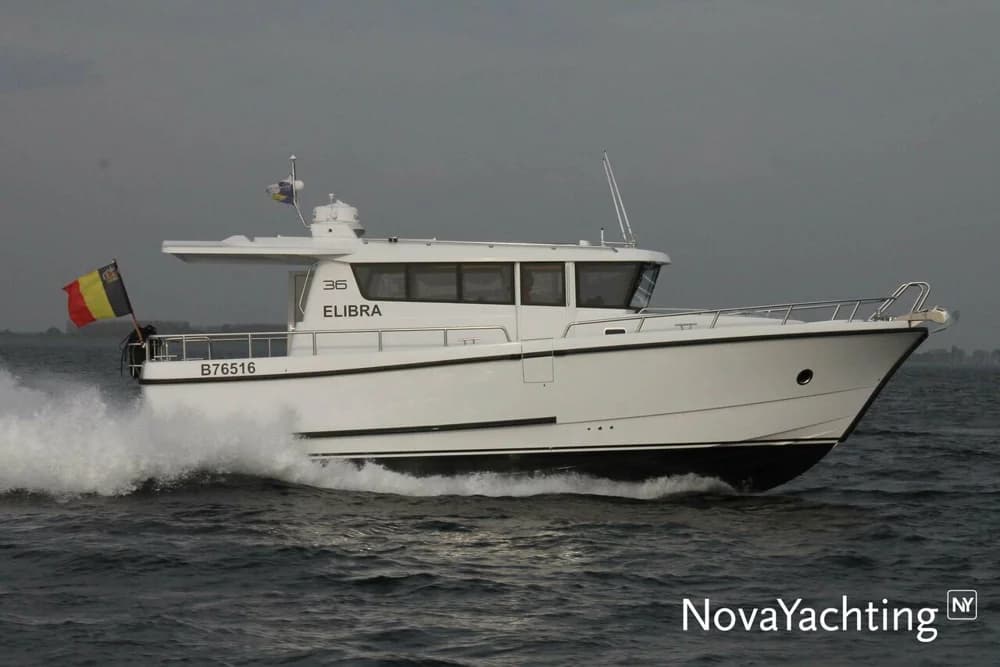 Sargo 36