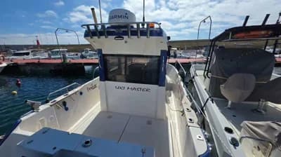 Sentinel 28 Fisher Cruiser 3