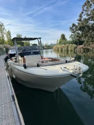 Invictus 270 FX 3