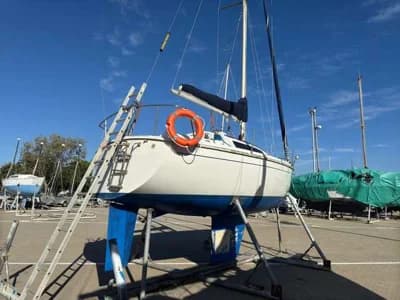 Aloa 27 3