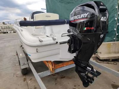Ranieri 17 Shark 2