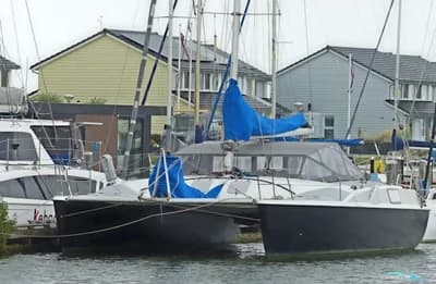 Rhebergen Havkat 31 2