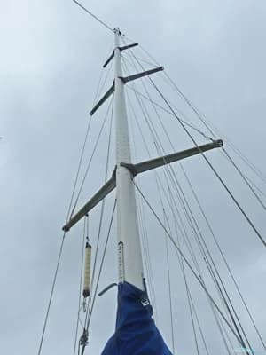 Rhebergen Havkat 31 3