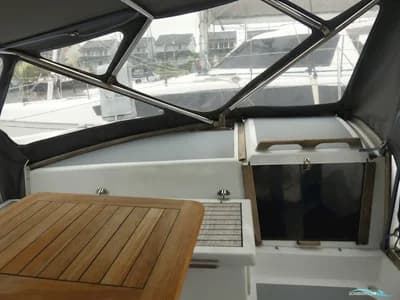 Rhebergen Havkat 31 5