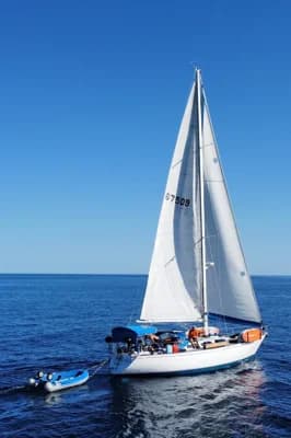 1979 Costa Custom Boats Sloop | 43 ft 2