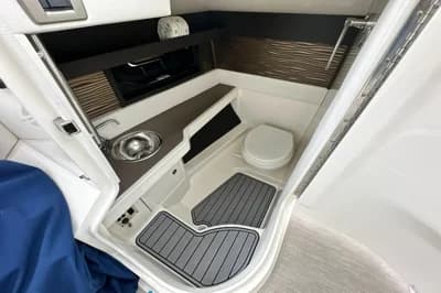 2019 Sea Ray SLX 310 5