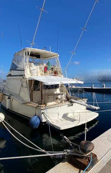 Hatteras 51