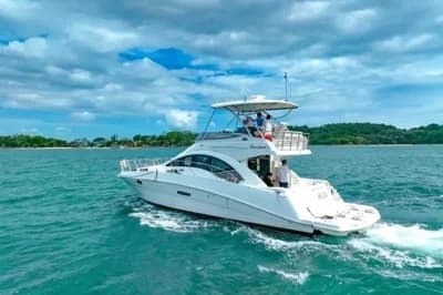 2008 Sea Ray 47 Sedan Bridge Boat for Sale in Sentosa 2
