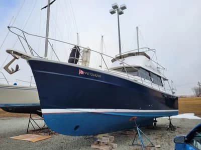 1981 Mainship 34 Trawler | 34 ft 2
