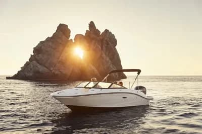 Sea Ray SPX 190 Outboard Boat for Sale in At Sales Office 3