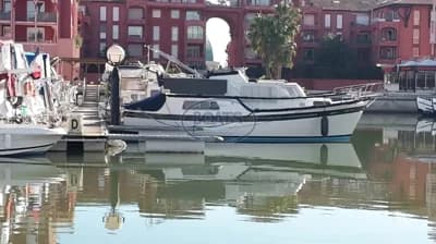 Trawler Aquila Queen 33 3
