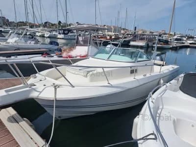White Shark 236 2