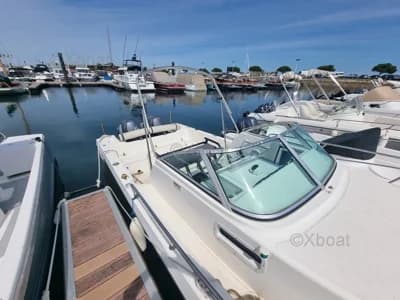 White Shark 236 4