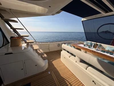 Mochi Craft Dolphin 74 3