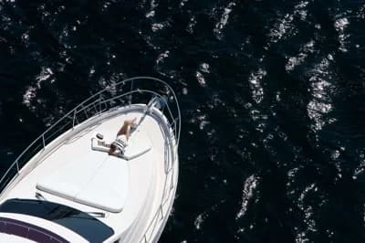 Rodman MUSE 54 5