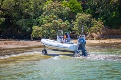 Sealegs 6.1M SPORT RIB 4