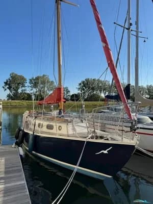 Blauwvoet Custom Steel 10 Meter 2