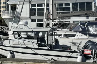 2024 AllSea 7.5 Walkaround | 25 ft 2