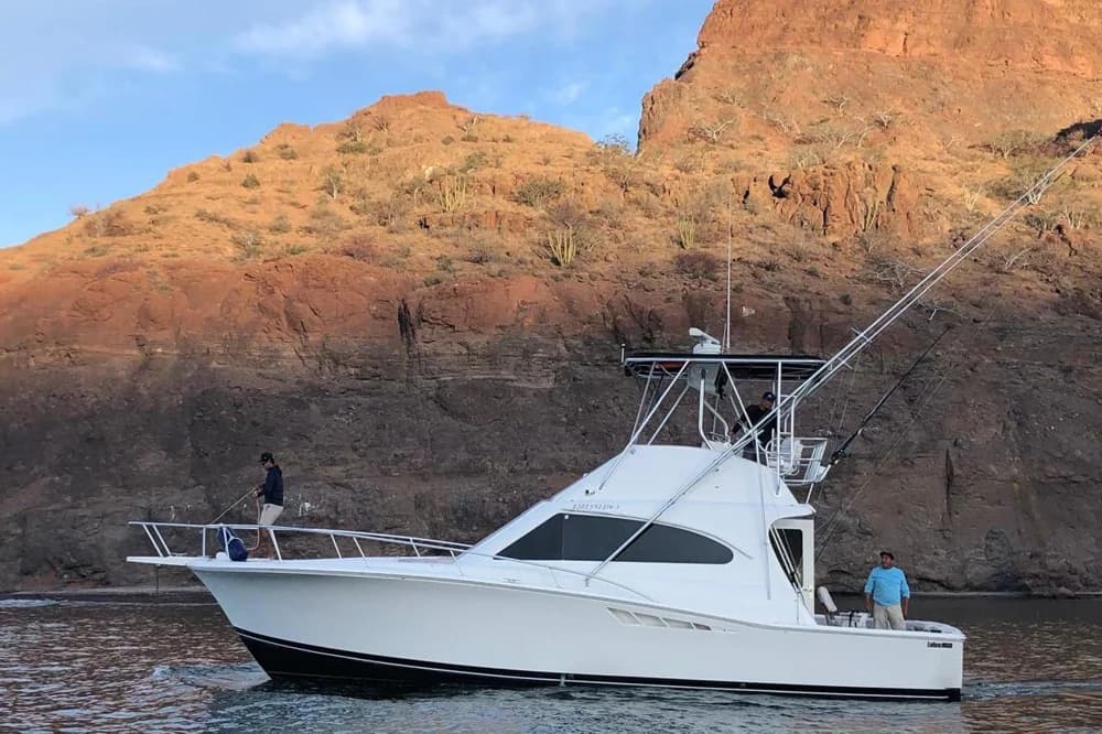 1999 Luhrs 38 Convertible | 38.9 ft