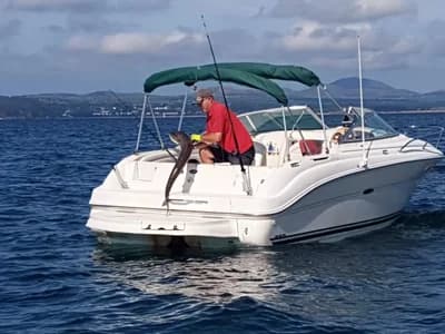 2001 Sea Ray 225 Weekender Boat for Sale in Pwllheli 3