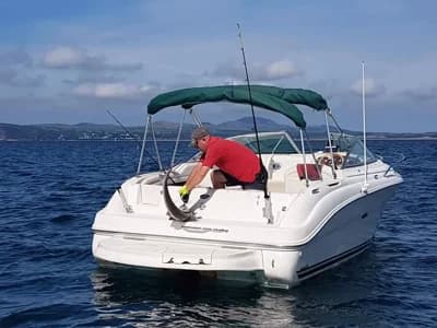 2001 Sea Ray 225 Weekender Boat for Sale in Pwllheli 5
