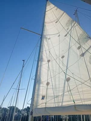 KELT 850 2