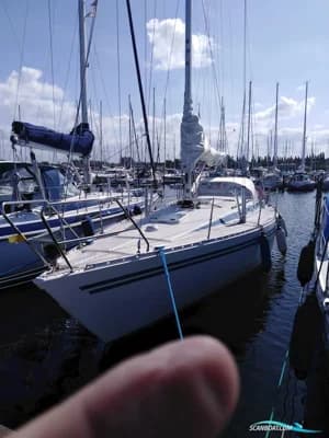 Finngulf 36 2