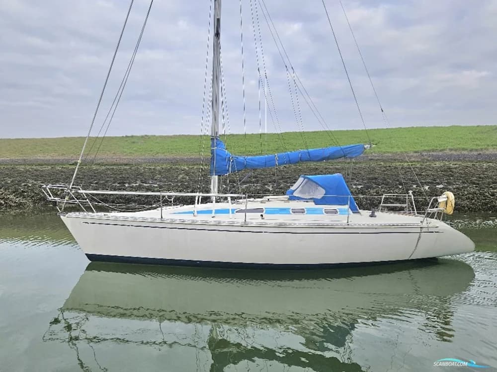 Elan 33