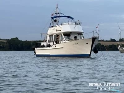 Island Gypsy Trawler 36 Classic 2