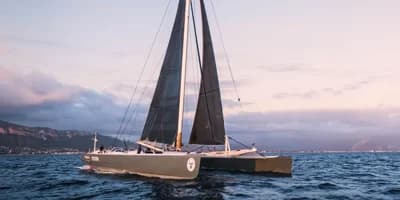 MAXICAT VICTORIA 3