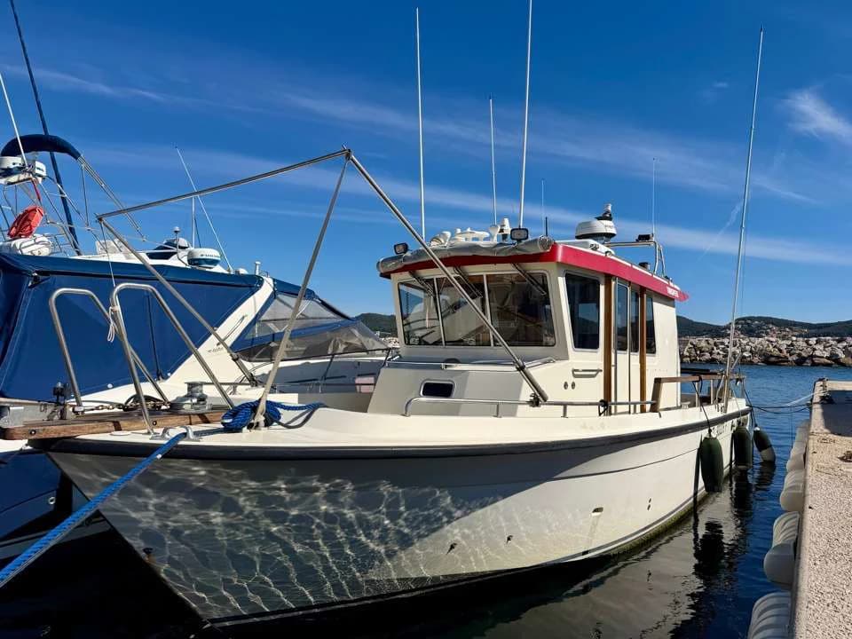 BOTNIA 31 TARGA