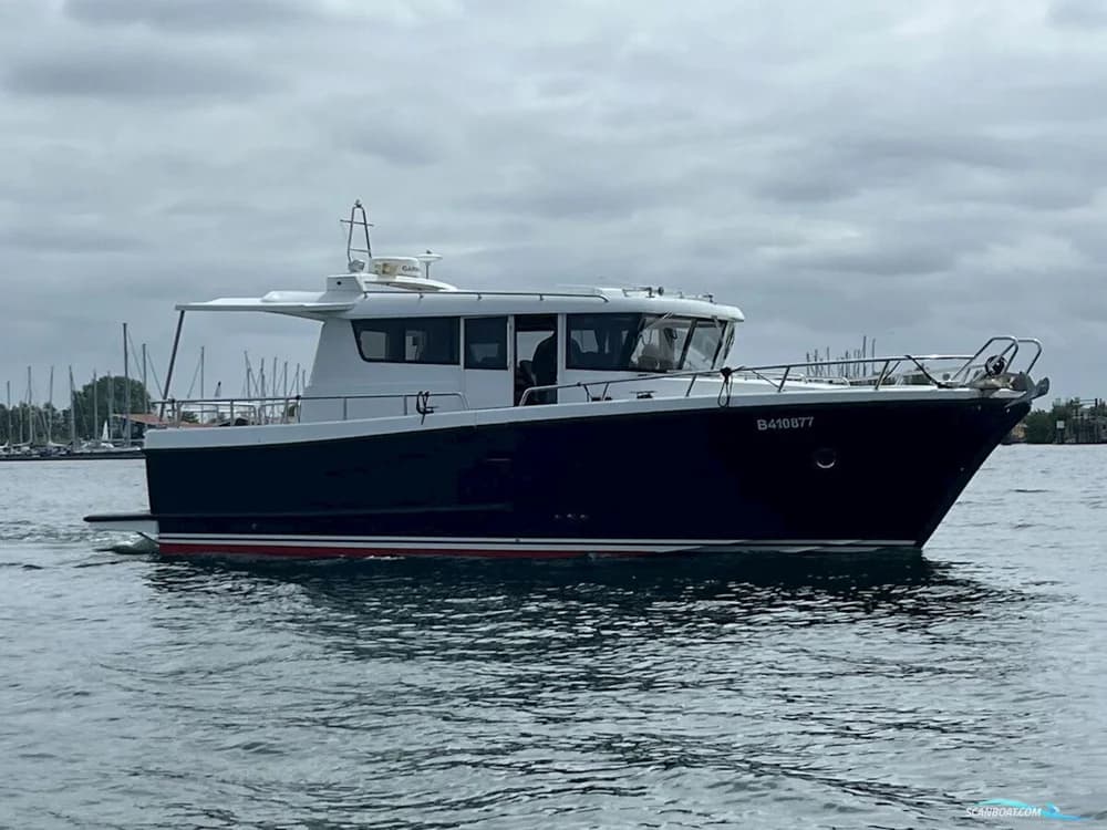 Sargo 36