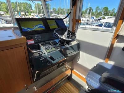 Sargo 36 2